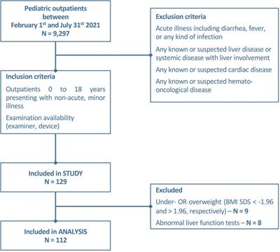 Validation of attenuation imaging coefficient, shear wave elastography, and dispersion as emerging tools for non-invasive evaluation of liver tissue in children